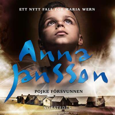 Pojke försvunnen - Anna Jansson.