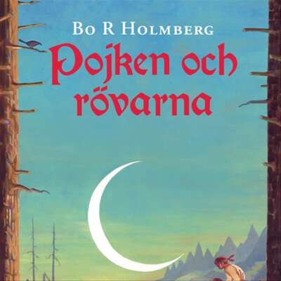 Pojken och rövarna - Bo R Holmberg.