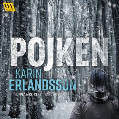 Pojken - Karin Erlandsson.