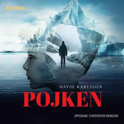 Pojken - David Karlsson.