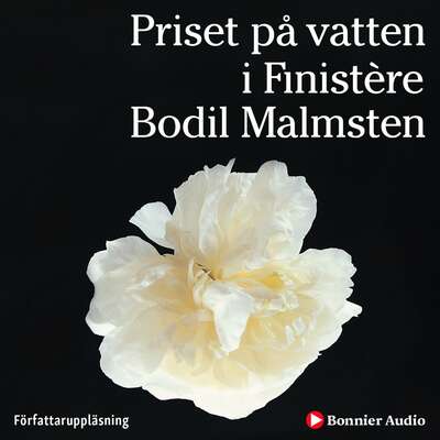 Priset på vatten i Finistère - Bodil Malmsten.