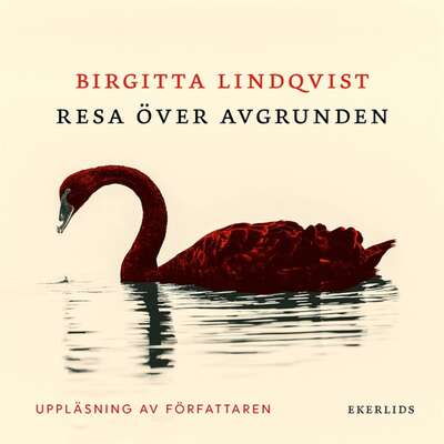 Resa över avgrunden - Birgitta Lindqvist.