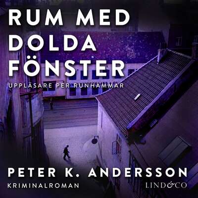 Rum med dolda fönster - Peter K. Andersson.