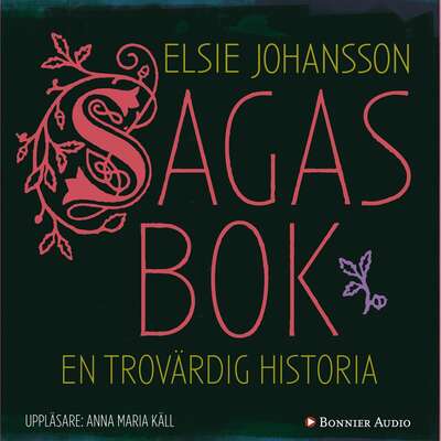 Sagas bok : en trovärdig historia - Elsie Johansson.