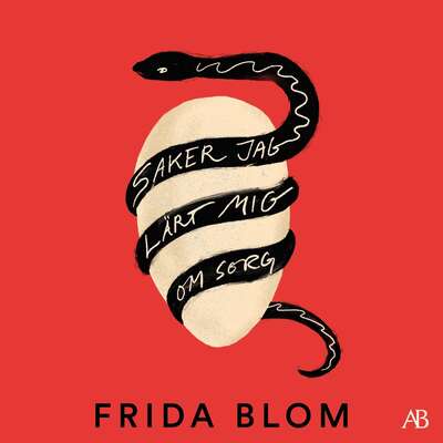 Saker jag lärt mig om sorg - Frida Blom.