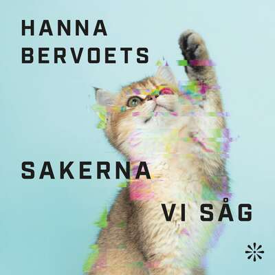 Sakerna vi såg - Hanna Bervoets.