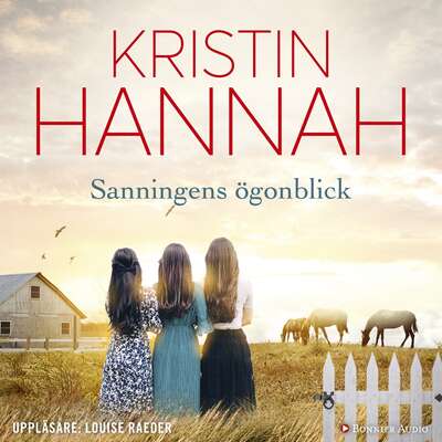 Sanningens ögonblick - Kristin Hannah.