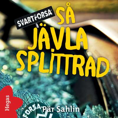 Så jävla splittrad - Pär Sahlin.