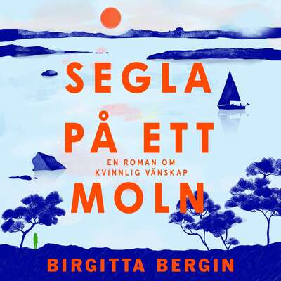 Segla på ett moln - Birgitta Bergin.