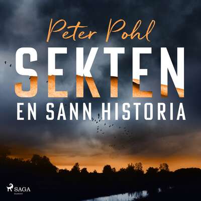 Sekten: en sann historia - Peter Pohl.