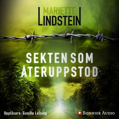 Sekten som återuppstod - Mariette Lindstein.