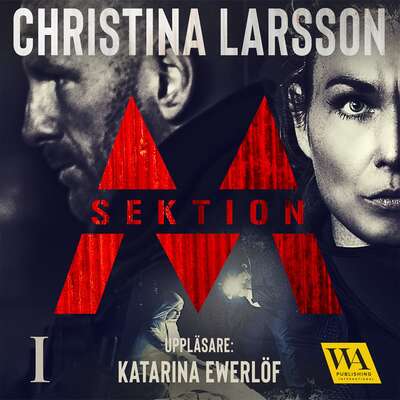 Sektion M I - Christina Larsson.