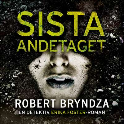 Sista andetaget - Robert Bryndza.