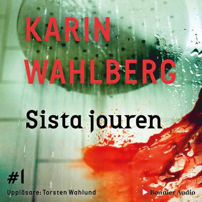 Sista jouren - Karin Wahlberg.