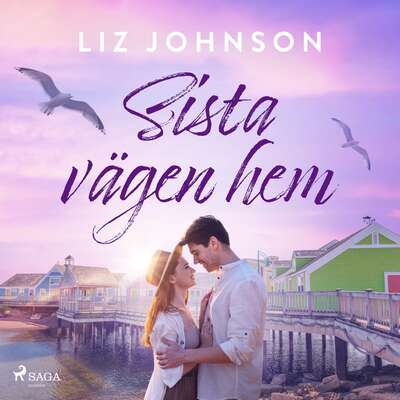 Sista vägen hem - Liz Johnson.