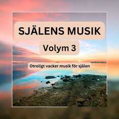 SJÄLENS MUSIK - Otroligt vacker musik för själen - Volym 3