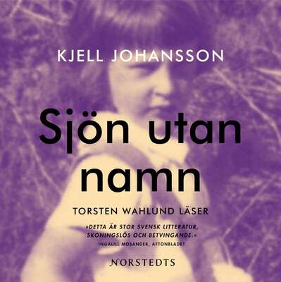 Sjön utan namn - Kjell Johansson.