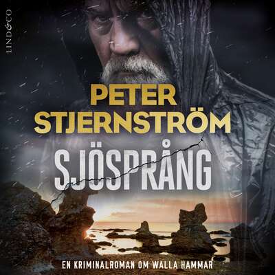 Sjösprång - Peter Stjernström.