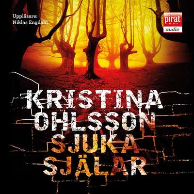 Sjuka själar - Kristina Ohlsson.