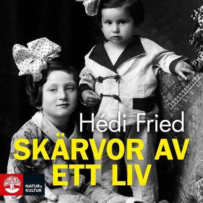 Skärvor av ett liv : vägen till och från Auschwitz