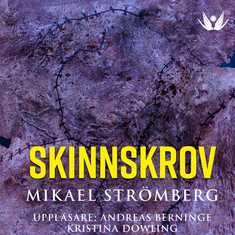 Skinnskrov