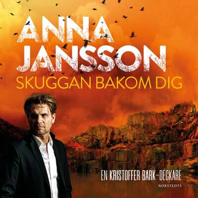 Skuggan bakom dig - Anna Jansson.