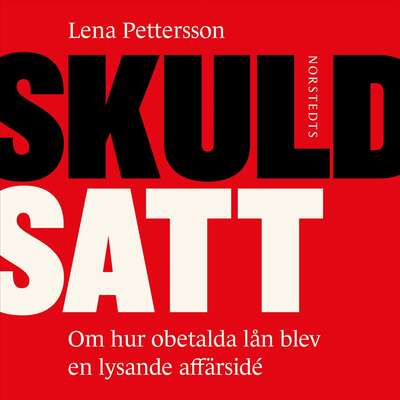 Skuldsatt : om hur obetalda lån blev en lysande affärsidé