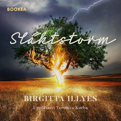 Släktstorm - Birgitta Illyés.