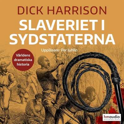 Slaveriet i Sydstaterna - Dick Harrison.