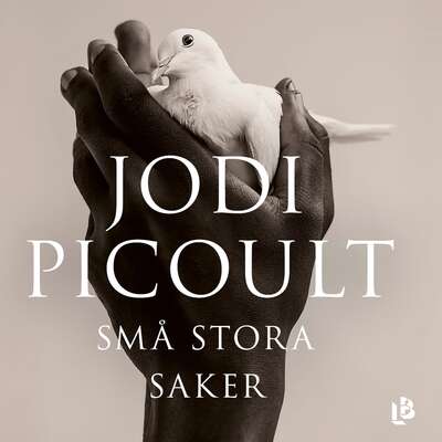 Små stora saker - Jodi Picoult.