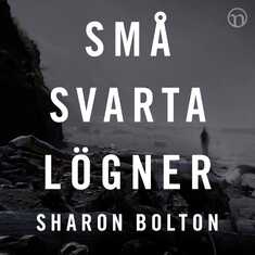 Små svarta lögner