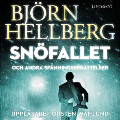 Snöfallet och andra spänningsberättelser