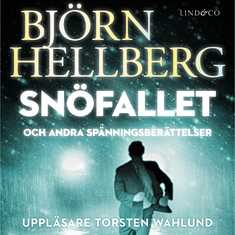 Snöfallet och andra spänningsberättelser