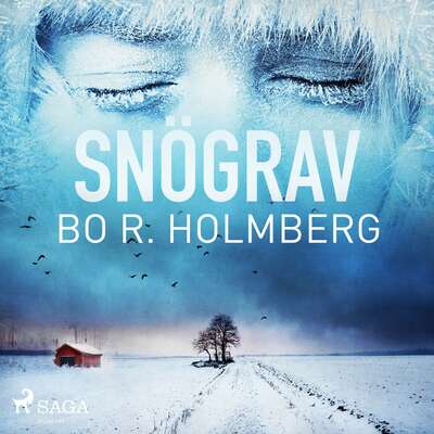 Snögrav - Bo R. Holmberg.