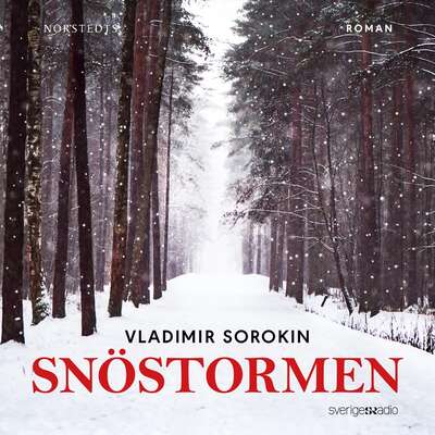 Snöstormen - Vladimir Sorokin.