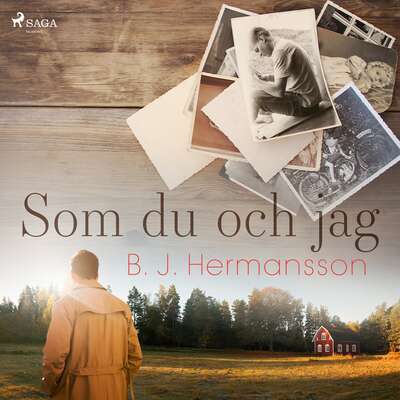 Som du och jag - B. J. Hermansson.