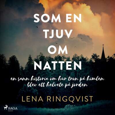 Som en tjuv om natten - Lena Ringqvist.