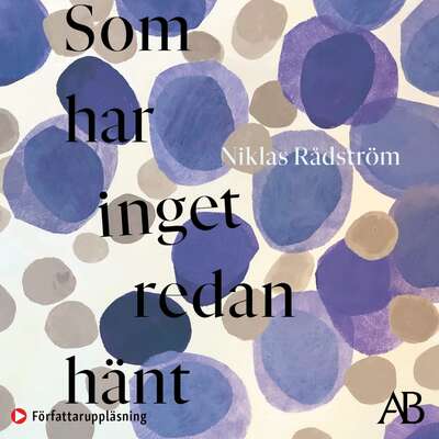 Som har inget redan hänt - Niklas Rådström.