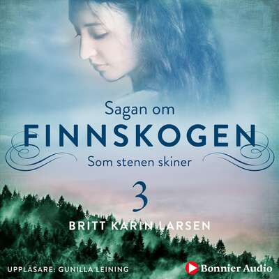 Som stenen skiner - Britt Karin Larsen.