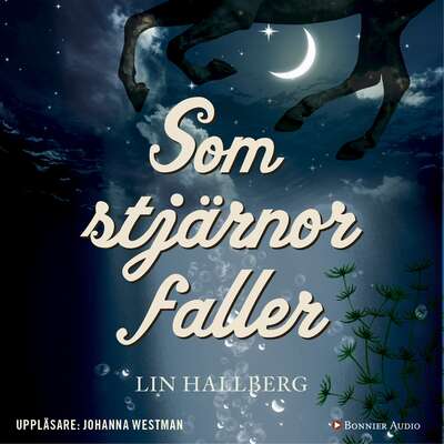 Som stjärnor faller - Lin Hallberg.