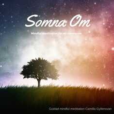 Somna om