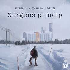 Sorgens princip