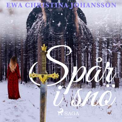 Spår i snö - Ewa Christina Johansson.