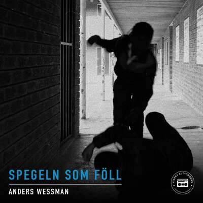 Spegeln som föll - en kriminalroman - Anders Wessman.