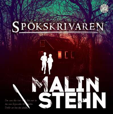 Spökskrivaren - Malin Stehn.