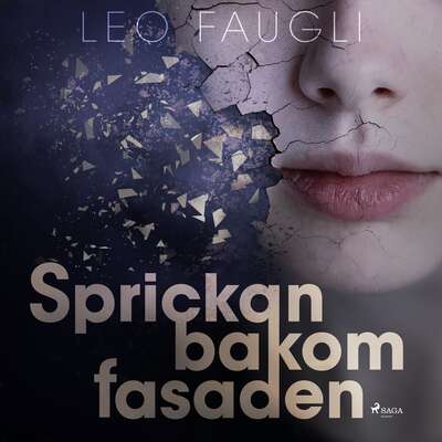 Sprickan bakom fasaden - Leo Faugli.