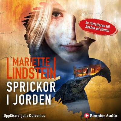 Sprickor i jorden - Mariette Lindstein.