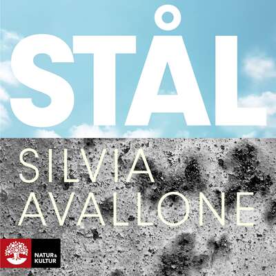 Stål - Silvia Avallone.