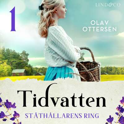 Ståthållarens ring: En släkthistoria - Olav Ottersen.