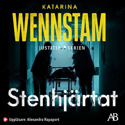 Stenhjärtat - Katarina Wennstam.